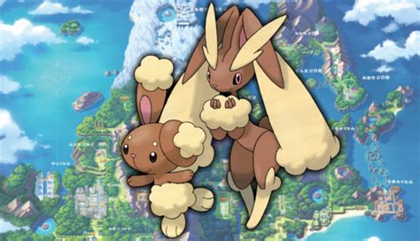 lopunny mega evolution|how to evolve buneary.